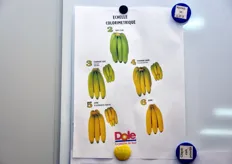 Tabella colorimetrica che indica il grado di maturazione delle banane a secondo della loro colorazione. Dal grado 3 in su, i frutti sono commercializzabili. Per il confezionamento, si parte dal grado 4 come minimo.
