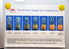 Anche per le ananas esiste un'apposita tabella colorimetrica.