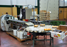 Linea per il confezionamento in vassoi.