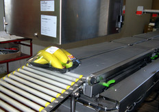 Fase di applicazione dell'etichetta.