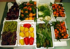 I packaging realizzati in EPS proteggono i prodotti agroalimentari, in particolare durante il trasporto e lo stoccaggio, dalle sollecitazioni meccaniche, sbalzi di temperatura, umidita' e altre influenze esterne. Gli imballaggi, inoltre, sono resistenti all'umidita', al sale, ai diversi tipi di acidi e alla maggior parte degli oli. L'EPS e' un prodotto igienico, poiche' data la sua conformazione a celle chiuse non consente ai microrganismi di trovare nutrimento. E' inoltre un materiale sicuro, in quanto non rilascia sostanze nocive, non contenendo CFC e HCFC. E' riciclabile, poiche' dopo l'uso puo' essere riutilizzato in edilizia (miscelato al cemento per alleggerire le strutture).