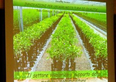 Il settore vivaistico e' un segmento strategico del comparto agro-alimentare. La qualita' delle produzioni vivaistiche, sotto il profilo varietale e fitosanitario, condiziona fortemente i risultati dei segmenti posizionati a valle della filiera produttiva.