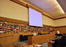 Si e' svolto a Roma, in data 7-8 dicembre 2009, presso il palazzo della FAO, il lancio del World Banana Forum sulla produzione e il commercio sostenibile di banane.