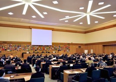 Una visione generale della Sala Verde della FAO, che ha ospitato il meeting.