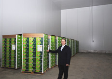 L'azienda Frutti Felici, oltre a commercializzare il prodotto a marchio proprio, lavora come partner italiano della compagnia neozelandese Zespri.