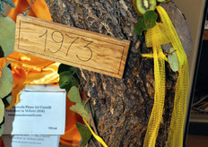 Alle radici della storia aziendale.