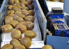 Nastro trasportatore.