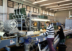 Linea di confezionamento.