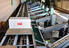 Linea di calibrazione.