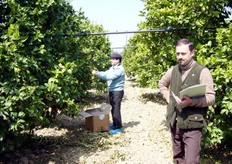 Le piante della collezione sono sottoposte ogni anno ai controlli fitosanitari previsti dai regolamenti regionali (Ufficio Fitosanitario Regione Basilicata) per la produzione di materiale certificato (CAC-Bollino Arancione), che recepiscono a loro volta le normative europee in materia di certificazione delle produzioni vivaistiche.