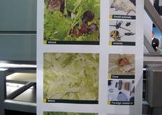 Stand Best Sorting (Belgio).