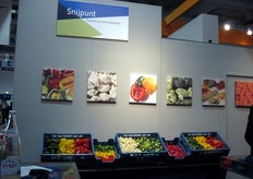 Stand Snijpunt BV (Olanda).