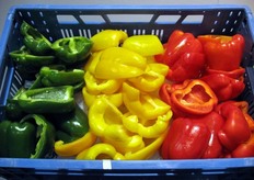 Dettaglio di prodotti esposti presso lo stand Snijpunt.