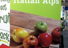 Dettaglio dei prodotti in esposizione allo stand VOG.