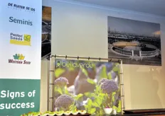 Monsanto Vegetable Seeds riunisce insieme alcuni marchi storici dell'industria sementiera internazionale: De Ruiter, Seminis, Protec Seeds e Western Seed. Bellaverde e' una nuova selezione di broccolo dallo stelo lungo e completamente commestibile.