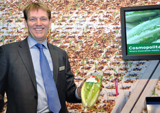 Carl Rentes di Monsanto mostra una lattuga Cosmopolitan, ottenuta da un incrocio tra una Iceberg e una lattuga romana. Il suo connotato e' quello di un sapore dolce, mai amarognolo. In Gran Bretagna si trova gia' in commercio da oltre due anni, con il nome DolceVerde.