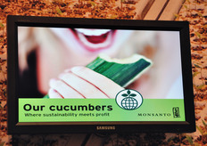 I cetrioli Monsanto sono selezionati per consentire ai produttori una coltivazione ambientalmente sostenibile, riducendo al minimo l'impiego di agrofarmaci chimici.