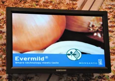 Evermild e' una cipolla dolce, lanciata sul mercato USA per rispondere alla domanda di una cipolla adatta ad ogni uso culinario, senza essere necessariamente importata a caro prezzo da altri paesi, come di solito accadeva per le cipolle dolci.