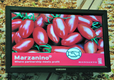 Marzanino, pomodoro mini-San Marzano che ha ottenuto grande successo in Italia. Questa varieta', adatta al consumo fresco, e' oggi proposta anche nella gamma di pomodoro in cestino a marchio Valfrutta Fresco; inoltre, una collaborazione e' stata sviluppata anche con il marchio Cirio, per le salse a base di pomodoro.