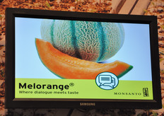 Melorange e' un melone dotato di polpa arancione brillante. Dal punto di vista gustativo, Melorange presenta un tenore zuccherino superiore alla media (puo' arrivare a 13-14 gradi Brix quando viene prodotto in certe aree); tale caratteristica non pregiudica tuttavia la conservabilita' del prodotto e la sua shelf-life.
