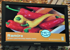 Ramiro e' il peperoncino dolce a punta, adatto ad ogni impiego gastronomico.