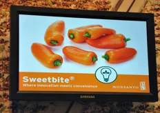 Sweetbite, il peperone snack di colore arancione, ad elevato contenuto di vitamina C.