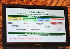 Le quattro piattaforme vegetali di Monsanto.