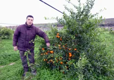 "Lino Anelli (in foto), giovane agrumicoltore di Scanzano J.co (MT), mostra una pianta di "Mandalate", su portinnesto Citrange Carrizo, in fruttificazione gia' al secondo anno. La precoce entrata in produzione e' una delle peculiarita' di questo mandarino ibrido triploide."