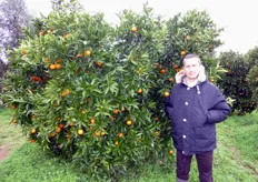"Giuseppe Oliva (in foto), agrumicoltore di Massafra (TA), si dichiara soddisfatto per i risultati produttivi ed economici conseguiti con un clone di clementine "Tardivo" da lui selezionato da alcuni anni."
