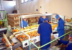 Pur essendo nata nel 2005, Ecofruit ha conquistato in pochi anni ragguardevoli quote sui mercati europei, dove colloca il 60 per cento dei prodotti ortofrutticoli da agricoltura biologica (il resto è assorbito dal mercato italiano). E’ presente in Inghilterra, Francia, Belgio, Olanda, Germania, Austria e Paesi scandinavi.