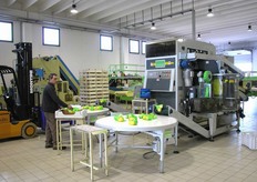 Lo stabilimento di Bagheria (PA) copre una superficie di 2.500 metri quadri (su 25.000 disponibili). Ecofruit dispone anche di un altro stabilimento piu' piccolo a Marsala (Trapani), di 1.000 metri quadri coperti. Entrambi sono dotati di linee di lavorazione, condizionamento ed imballaggio all’avanguardia, con calibratore e pesatore elettronici, integrato da un impianto sofisticato dotato di tecnologia ad ozono per disinfettare il prodotto e allungarne la shelf life.