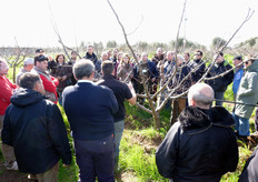 "Il 27 febbraio 2010 si e' svolta la giornata tecnica sulla potatura dell’albicocco (varietà "KIOTO*cov"). L'iniziativa e' stata organizzata dal CO.VI.L., Consorzio Vivaisti Lucani di Scanzano Jonico - MT), e dal gruppo vivai-breeders Pepiniere Escande-Bee (Saint-Vite - Francia)."