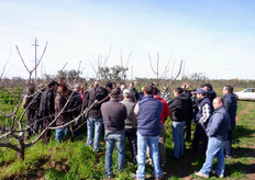 Le giornate tecniche in campo hanno lo scopo di fornire, a tutti gli operatori del settore, informazioni sulla corretta gestione agronomica degli albicoccheti realizzati con le varieta' del gruppo francese Escande-Bee, di cui il CO.VI.L. e' licenziatario.