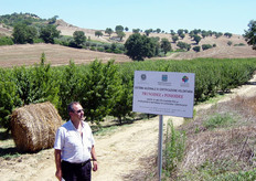 "Per contrastare l'introduzione e la diffusione della "Sharka" delle drupacee, afferma Vincenzo Castoro (in foto) dell'Ufficio Fitosanitario della Regione Basilicata, esistono solo rimedi preventivi. Per la costituzione di nuovi frutteti risulta determinante l'impiego di piante certificate, esenti da organismi nocivi, prodotte con materiale di propagazione proveniente da Campi di Piante Madri, sottoposti a continui controlli fitosanitari (e di rispondenza varietale), secondo quanto previsto dalle normative sulla Certificazione Volontaria Nazionale del materiale vivaistico."