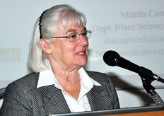 La Dott.ssa Marita Cantwell dell’Universita' della California Davis (USA) ha affrontato il tema della fisiologia postraccolta degli ortaggi in relazione alla temperatura e alla composizione atmosferica. Fornendo esempi specifici, tratti da ricerche condotte su singoli vegetali, la Cantwell ha mostrato come il ricorso all'atmosfera modificata non possa essere considerato l'unica soluzione per una maggiore conservabilita' dei prodotti e che il fattore temperatura va dosato a seconda dell'ortaggio che si intende preservare.