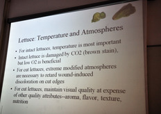 I rilievi emersi dai test effettuati sulle lattughe di IV gamma. Quando il prodotto non e' danneggiato, la temperatura risulta il fattore piu' importante per preservare la freschezza del prodotto. Utile anche un basso livello di O2 (ossigeno) nelle confezioni ad atmosfera modificata. Le cose cambiano pero' nel caso di foglie danneggiate: in questi casi, solo atmosfere modificate estremamente spinte (bassissimi livelli di O2) potrebbero evitare scolorimenti e degradazione degli aspetti visivi, ma a tutto discapito di altri attributi qualitativi, quali aroma, gusto, consistenza e valori nutrizionali.