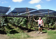 "Pampa Kiwi e' un’azienda frutticola dove sono stati visitati due impianti di actinidia, uno di 19 anni, di cultivar Hayward e uno di 2 anni di varieta' "Summerkiwi"."