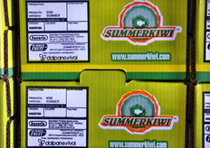 Pampa Kiwi non conferisce a commercianti o cooperative, ma vende il prodotto direttamente al mercato centrale di Buones Aires, dove partecipano tutti i supermercati e i dettaglianti tramite asta al miglior offerente. Solo cosi' l'azienda riesce a spuntare un prezzo migliore.