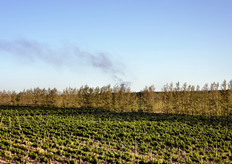 Visita ad un'azienda vitivinicola.