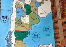 "I principali mercati della Mono Azul sono Russia, Canada, Stati Uniti, Brasile, Unione Europea, Paesi Est Europa, Nord Africa e Medio Oriente. Da quest’anno, per affrontare meglio i mercati e per varie esigenze relative ai residui, si e' impostato il lavoro di difesa per raggiungere l'obiettivo di una produzione a "residuo zero", in modo da rispondere ai requisiti molto esigenti del mercato europeo."