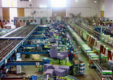 Un lavoratore riceve mediamente 3.000 pesos lordi al mese e deve confezionare almeno 95 scatole al giorno.