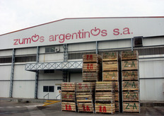 In questo stabilimento si lavorano 700 ton di frutta al giorno per un totale di 60.000 ton all’anno, con una resa di 10-11.000 tonnellate di concentrato. Ci sono tre turni di lavorazione, per un totale di 70 persone. Gli scarti della lavorazione vengono destinati all’alimentazione zootecnica. I clienti piu' importanti sono Danone e Plasmon.