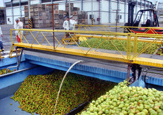 In futuro potra' esserci una crescita nella produzione di concentrati, in quanto la Coca Cola intende creare un prodotto misto tra cola e frutta, per riconquistare il consumatore, dopo un calo del 30 per cento nelle vendite.