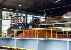 Quest’azienda e' certificata HACCP. Attualmente le mele si pagano al produttore 0,25 pesos al kg e le pere 0,21 pesos al kg, siglando contratti di fornitura e di filiera tramite rispetto di apposito disciplinare e garantendo uno sbocco commerciale alla frutticoltura locale.