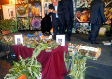 "E' stato presentato ad Alghero il 19 marzo 2010, il volume "Il carciofo e il cardo", della collana "Coltura&Cultura", curata da Bayer CropScience. Cassette con carciofi spinosi di Sardegna e sala convegni"