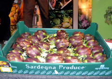 Carciofo spinoso di Sardegna (in attesa di ottenere il riconoscimento DOP - denominazione di origine protetta - da parte dell'Unione Europea).