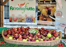 Nell'occasione, diversi stand e bancarelle vengono allestite nella vie principali della citta'.