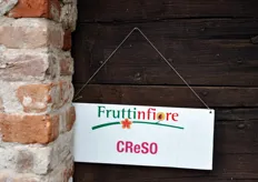 Anche quest'anno, il Centro per la Frutticoltura piemontese (CReSO) ha allestito una mostra pomologica sulle diverse varieta' di mela.
