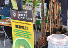 Il kiwi e' protagonista di tutti gli stand vivaistici!