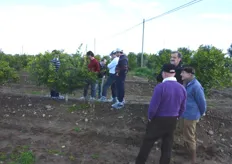 "L’Ing. Nunzio Riccardi (nella foto primo a destra), titolare dell’Azienda Agricola "S. Fara", ha realizzato un impianto di "Mandalate" su terreno "baulato" ad alta densita' di piantagione (650 piante/ha)."